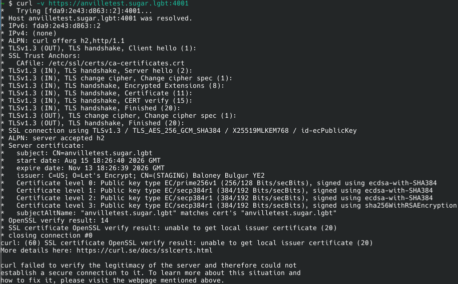 OpenSSL showing an error due to not recognizing a staging Let's Encrypt certificate (obtained using ACME). OpenSSL showing an error due to not recognizing a staging Let's Encrypt certificate (obtained using ACME).