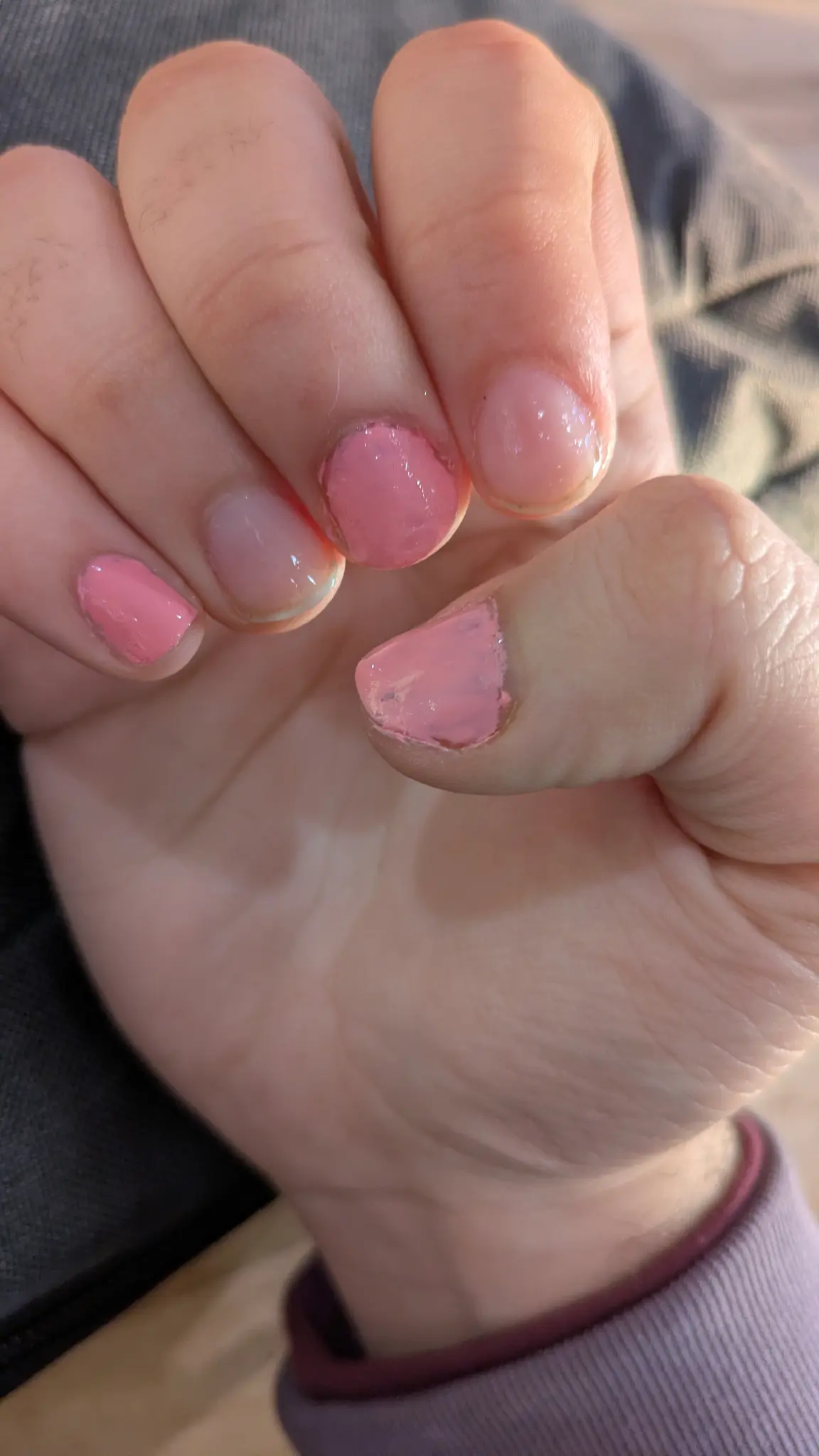 illy paw with nail polish its nails ⩾^>w<^⩽
pink, clear, pink, clear, pink